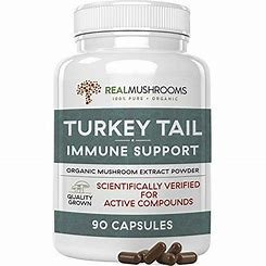 Turkey Tail Mushroom Capsules