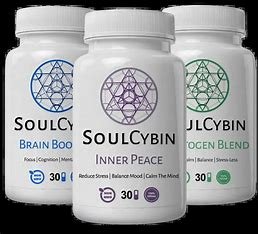 SoulCybin